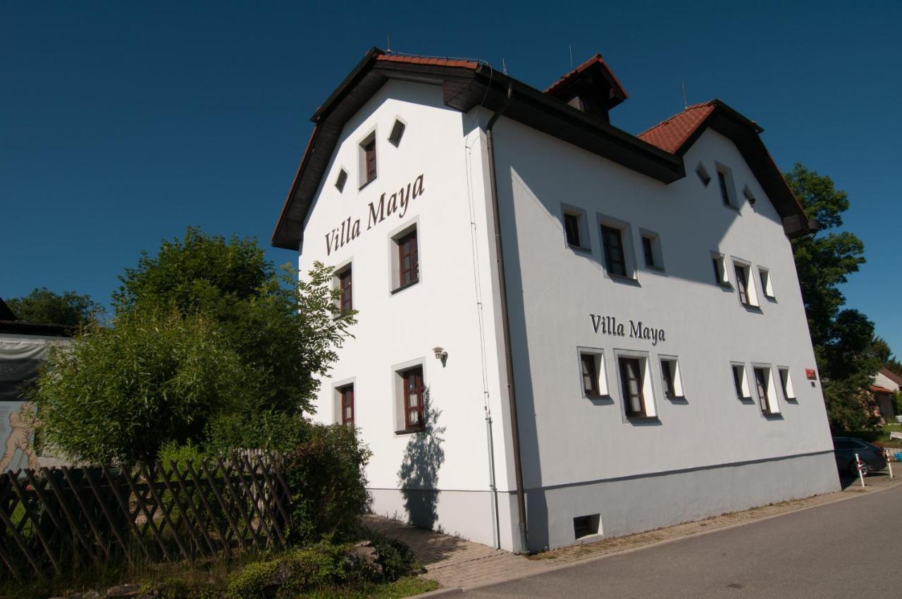 Villa Maya Horni Plana Exterior foto