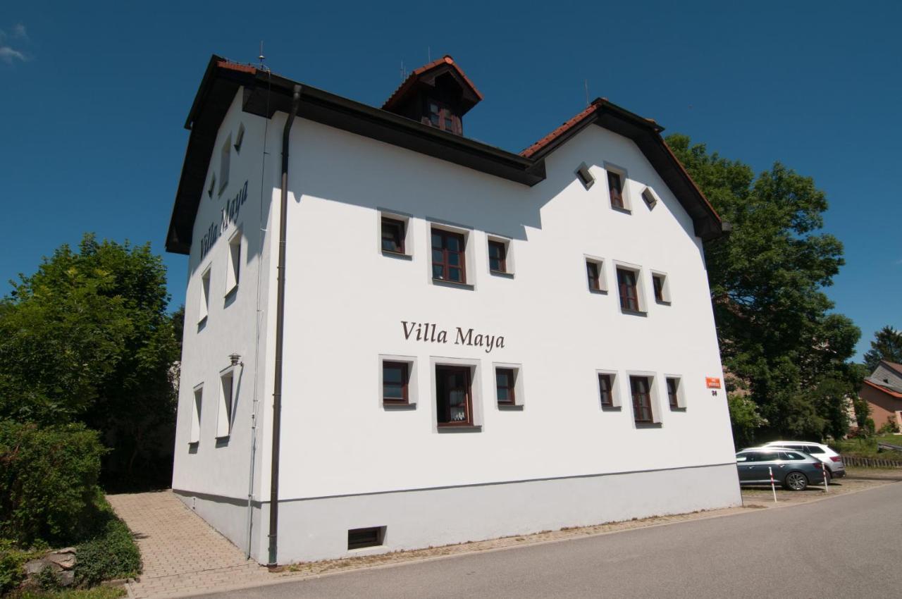 Villa Maya Horni Plana Exterior foto